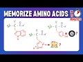 Memorize And Draw The 20 Amino Acids
