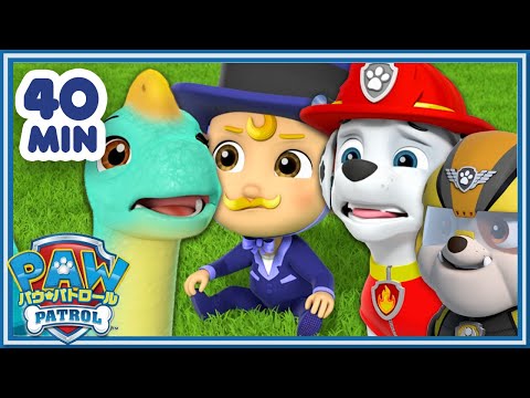 ジャングルキャンプ: アヌーシュカは戦いを求めている、リンダは行かなければならない