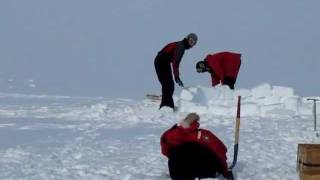 Happy Camper at McMurdo Station