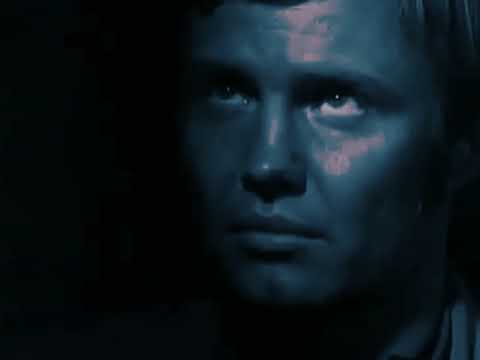 Cinematic Parallels  🎬 - Videoart