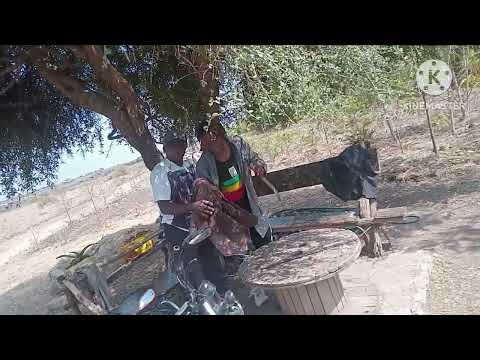 Black steve( Amazing do you) official. 