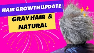 Gray Natural Hair Growth Update| Removing Yellow From Gray Hair