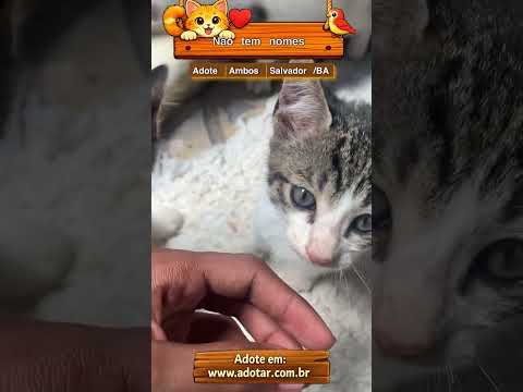 Vídeo de Não tem nomes