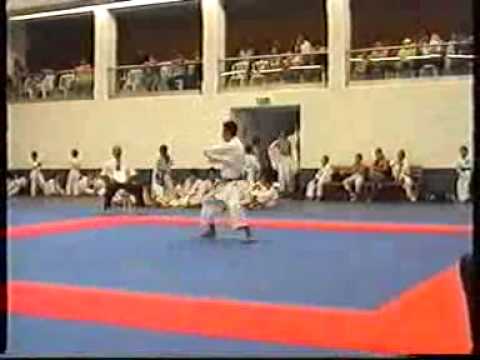 najmeddin's karate