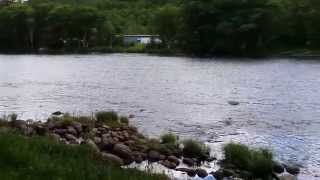 preview picture of video 'Hudson River Flowing at Riparius, NY June 2014'