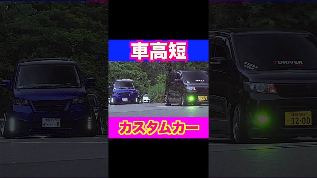 低すぎて異次元…レベチすぎるカスタムカー