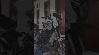 Download lagu story wa Tiger herex#shorts mp3 Download lagu story wa Tiger herex#shorts mp3