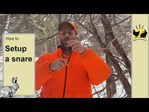 Hares and Snares | How To Setup Snares