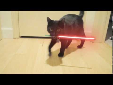 ORIGINAL Star Wars Cat with lightsaber