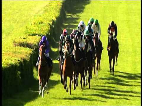 Galopprennbahn Dresden - 07.05.2016 -6.Rennen