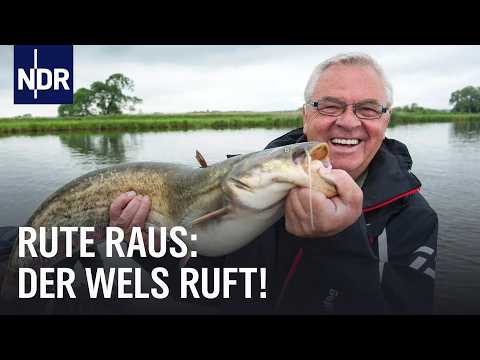 Video Thumbnail: Monster der Oder: Auf Welsjagd mit Heinz und Horst | Rute raus Classics 12.07.2014 | NDR Doku