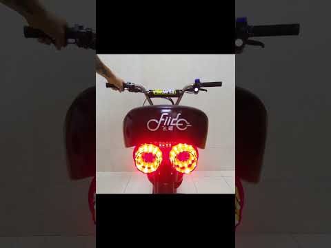 Motorcycle LED Tail Lights For My Fiido Q1S!