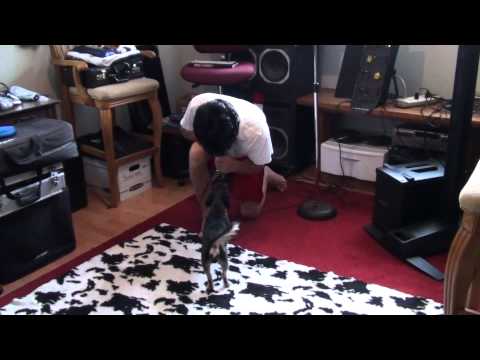 DOG HELPS HIM PRACTICE.Jeff LaJess and hid buddy cash sing Better Than I Used to Be - Tim McGraw .