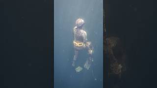 🐟🇳🇴 Speerfischen in Norwegen #spearfishing #norway #speerfischen #jagd #angeln