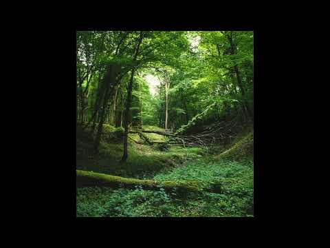 O ISUSE SOARE DOMN Negative Creștine 