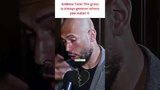 Andrew Tate: The grass is always greener where you water it