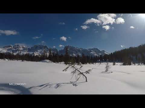 MilleMonti Malga Ritort