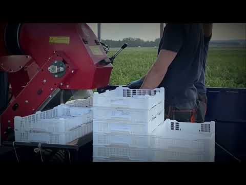 Уборка смородины - комбайн Jarek 5