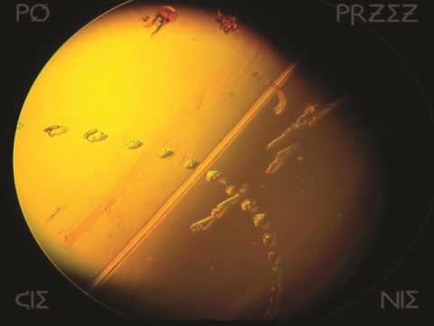 Nigrum Sol - Into the Abbys (EP 2017)