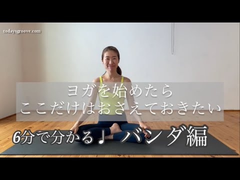 バンダについて詳しく解説