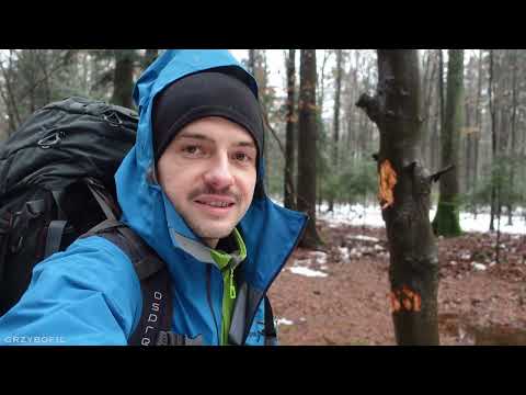 Grzybowy BIWAK zimą - cz. 3/3