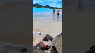 Antigua #beach #cruise