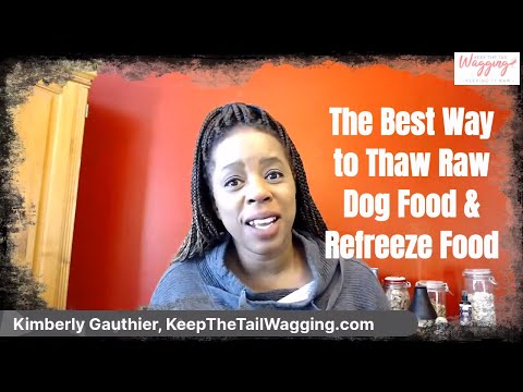 YouTube video about: How long can raw dog food be left out?