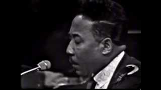 Muddy Waters, You can&#39;t lose what you never had