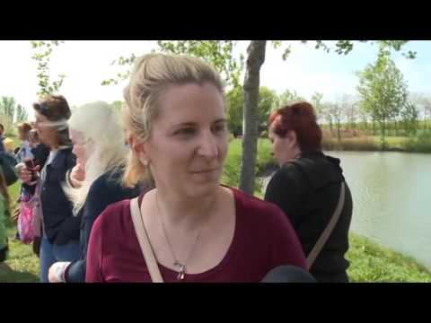 Közel-kép - 2017.04.18.