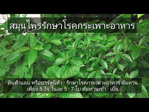 ครีมเพิ่มขนาดอวัยวะเพศชาย วิธีการที่จะกระตุ้นผู้หญิงเงียบ ๆ