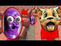 BEANOS IN A MAZE Gmod Sandbox