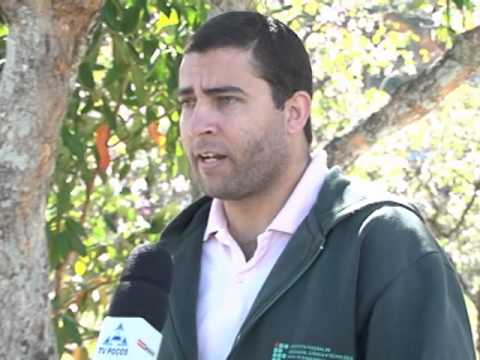 GREVE INSTITUTO FEDERAL