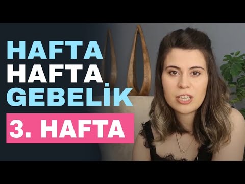 Week by Week Pregnancy - 3 Weeks Pregnant