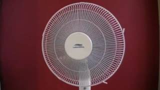 Ferragosto - Champagne Supernova