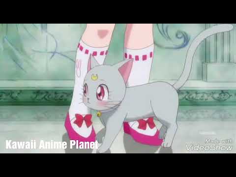 Luna and Artemis daughter|ENG| Sailor Moon Crystal