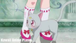 Luna and Artemis daughter|ENG| Sailor Moon Crystal