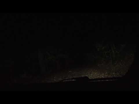 Exploring The Legends Of Constitution Drive