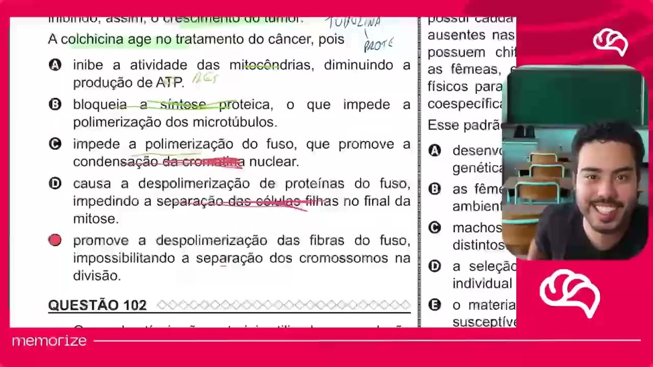 Resolução em Vídeo — Questão 101 ENEM 2022 PPL