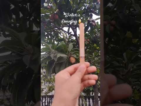 winter is comming #shortvideo #subscribers #foryou  #viralvideo #love #icecream #ice #icecreamlove