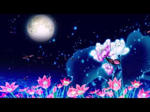 Heilende Frequenzen (528 Hz) - Auflösung blockierender Energie - Positive Transformation bewirken