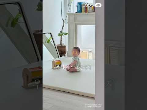 공동구매 진행 중!ㅣ귀하게 자란 나에게 딱 맞는 CCTV Tapo C460✨