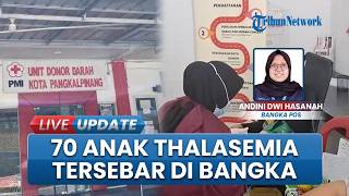 70 Anak Derita Thalasemia di Pulau Bangka Jalani Tranfusi Seuur Hidup, Kekurangan Dokter Spesialis
