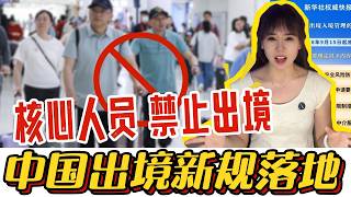 YouTube 视频预览
