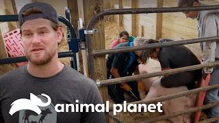 Thumbnail del capítulo