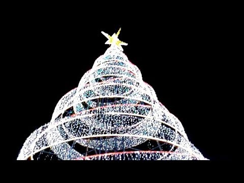 Cidade Natal, Guimarães Portugal