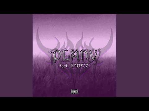 PLANY