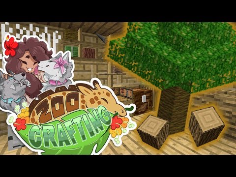 Full of Cinnamon Scented Sawdust!!  🐼🌿 Zoo Crafting • #33