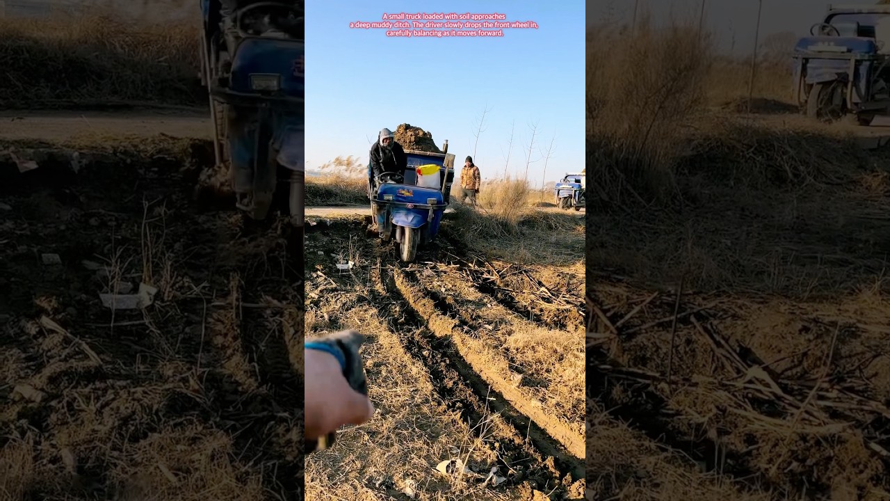 It didn’t make it #farmer #agriculture #funny