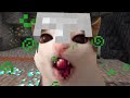 Random Cats Being Silly In Minecraft