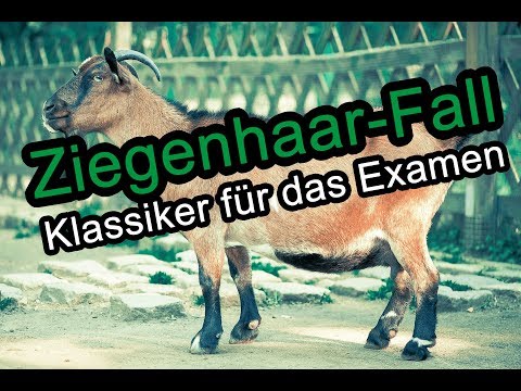 Ziegenhaar-Fall - Abgrenzung Aktives Tun und Unterlassen